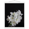 f24607f7-6ac8-44de-b069-7632370f5610