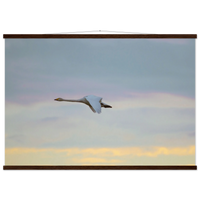 f436bdab-540c-4e6a-86d9-304f488c0610