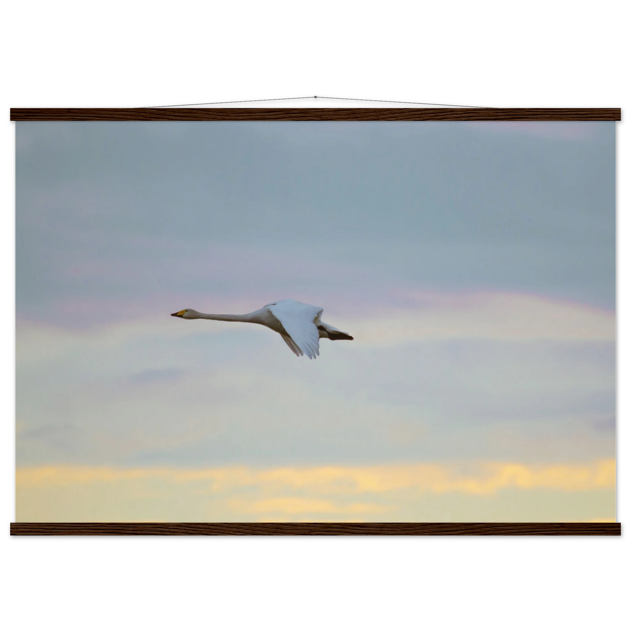 f436bdab-540c-4e6a-86d9-304f488c0610