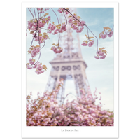 f6208c64-bd87-462c-9106-c2059f675b5e