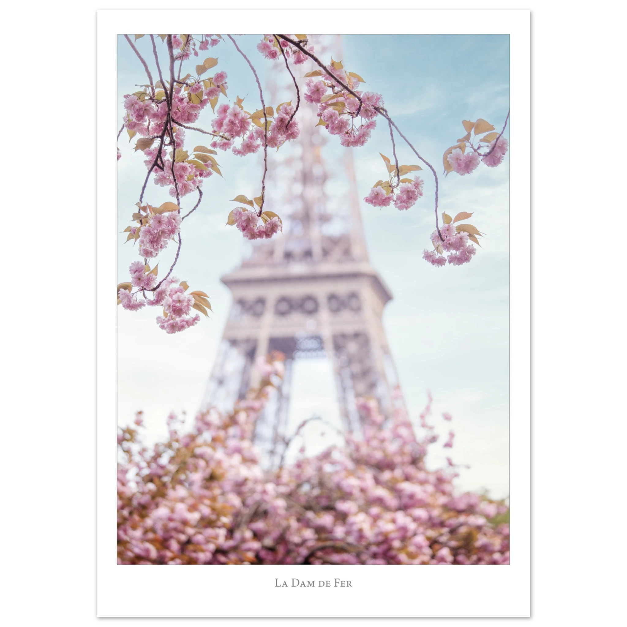 f6208c64-bd87-462c-9106-c2059f675b5e