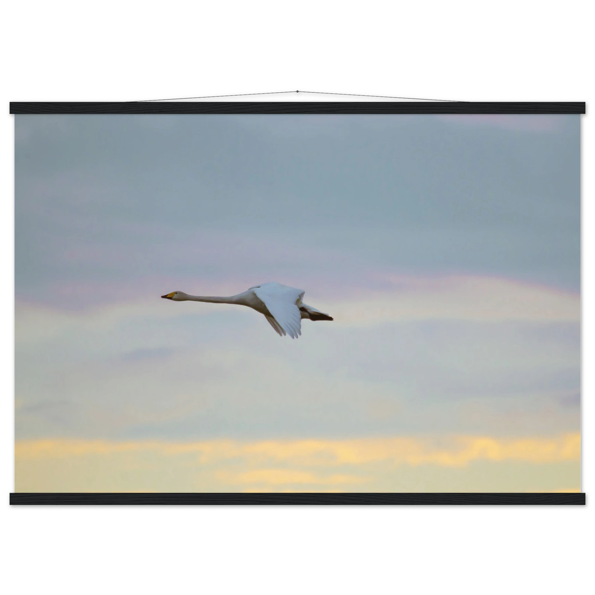 f6252abf-10ba-4cca-ba55-04dbcb95f84f