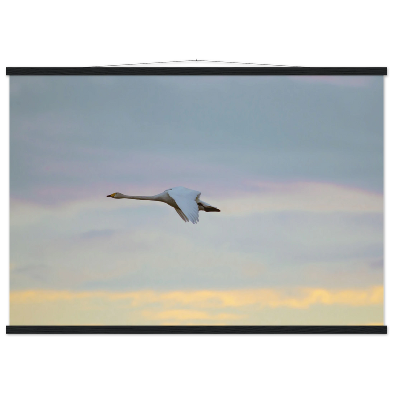 f6252abf-10ba-4cca-ba55-04dbcb95f84f