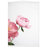 f6da9bc8-309e-4cb9-ba75-ad5e56a7f705