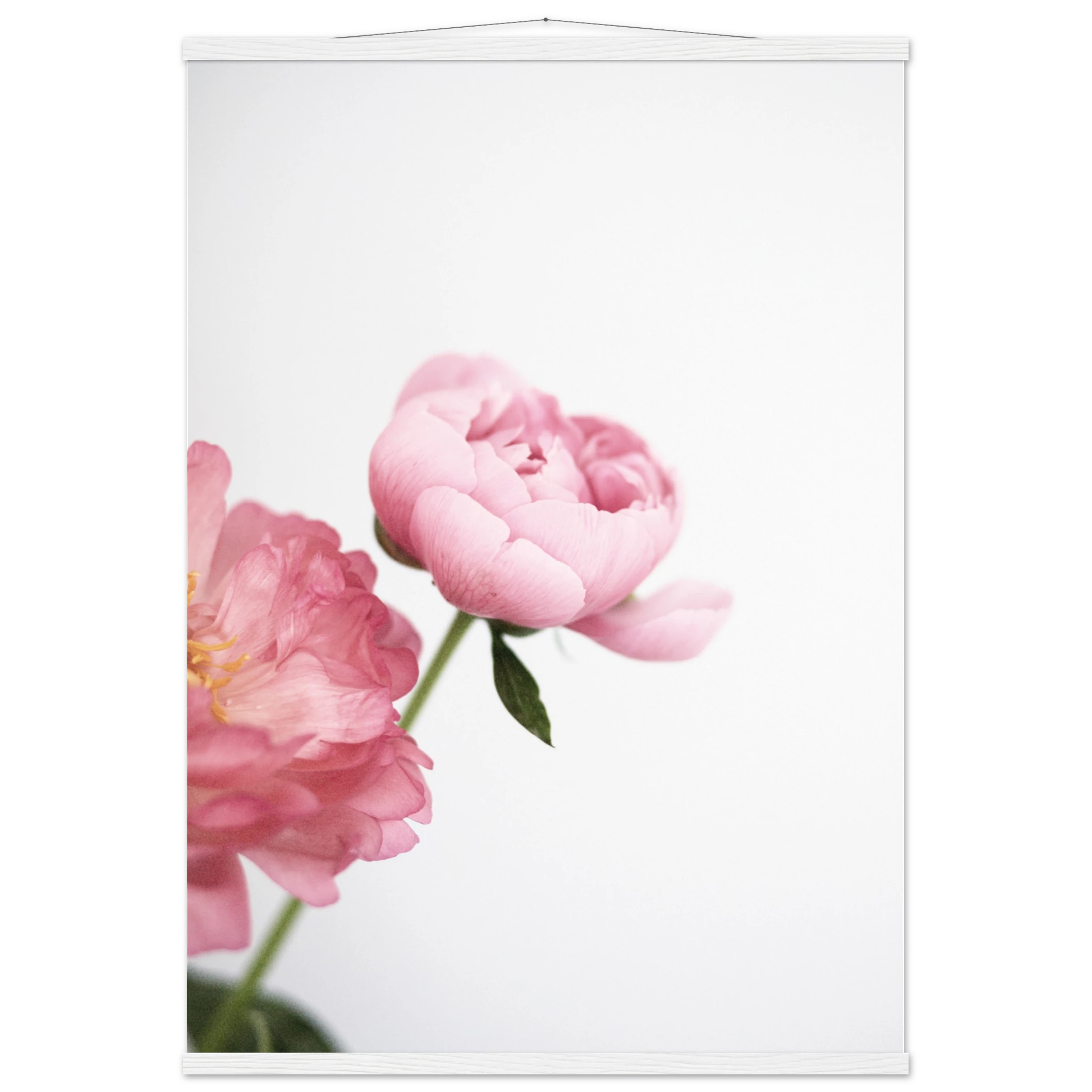 f6da9bc8-309e-4cb9-ba75-ad5e56a7f705