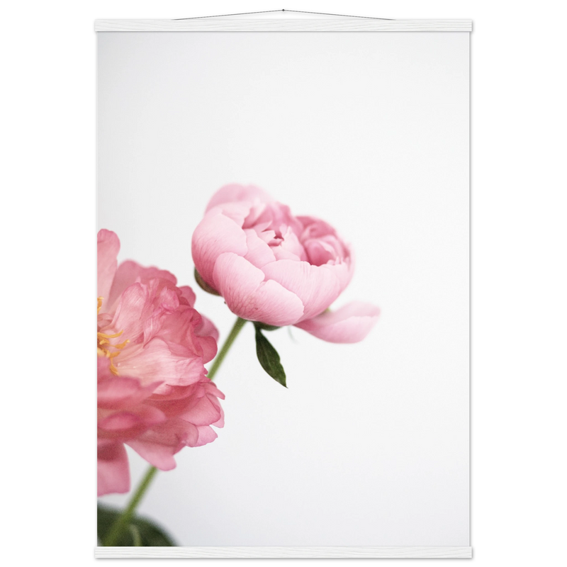 f6da9bc8-309e-4cb9-ba75-ad5e56a7f705