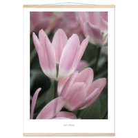 f8167922-2376-4cb1-9efe-cc7838d29e18