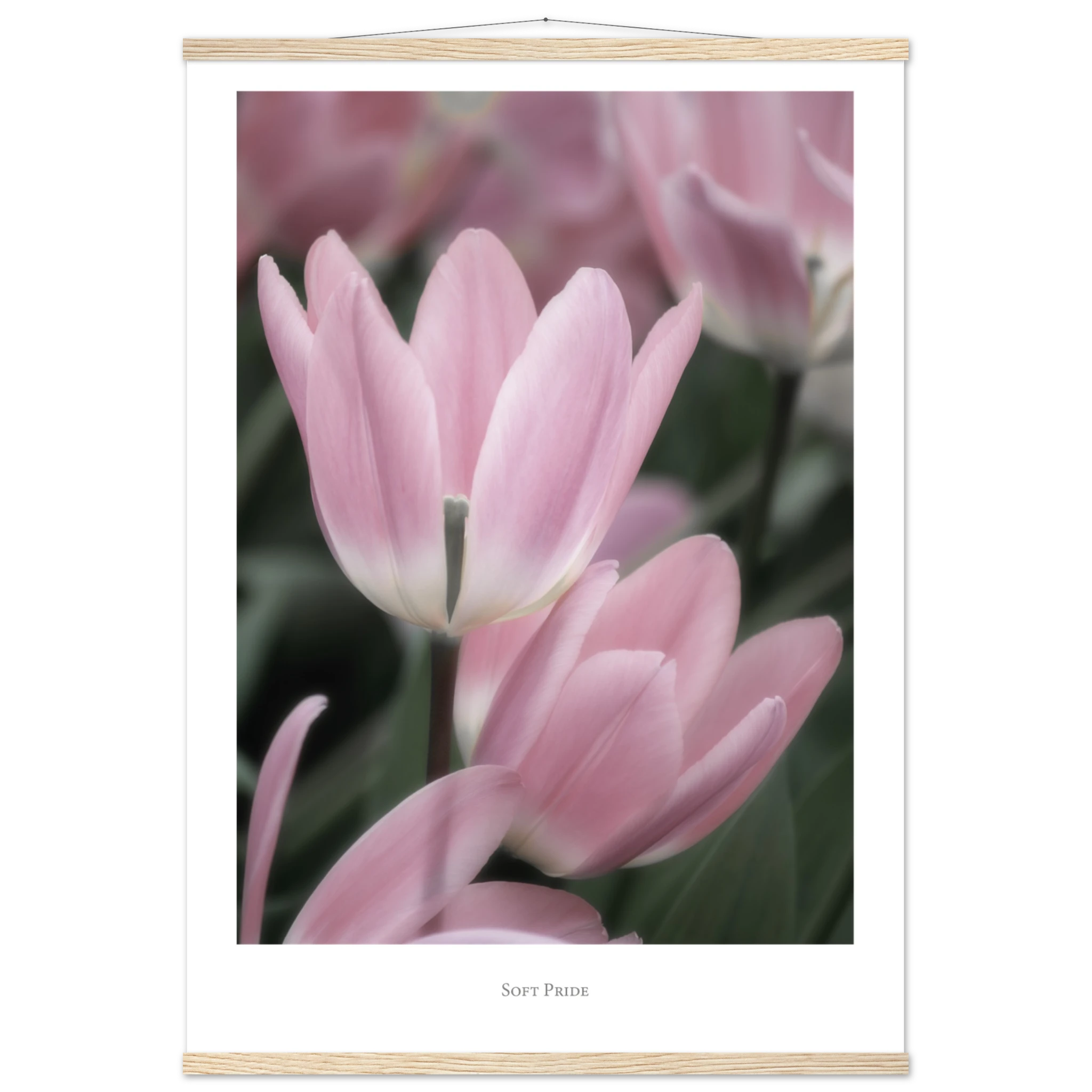 f8167922-2376-4cb1-9efe-cc7838d29e18