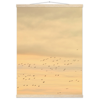f85a36e5-900f-482e-ac1d-ffefef4fcc46