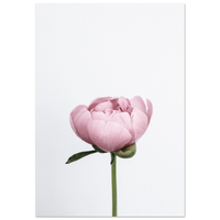 f8bd0fd4-9640-47c0-a900-d16d2049e0db