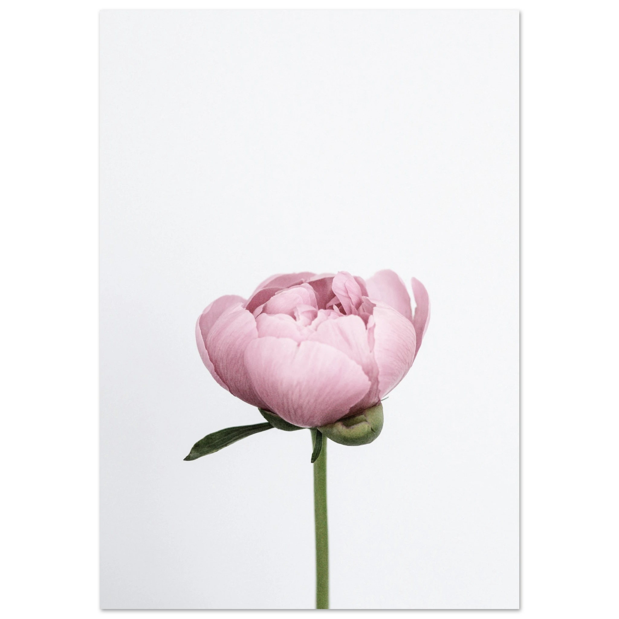 f8bd0fd4-9640-47c0-a900-d16d2049e0db