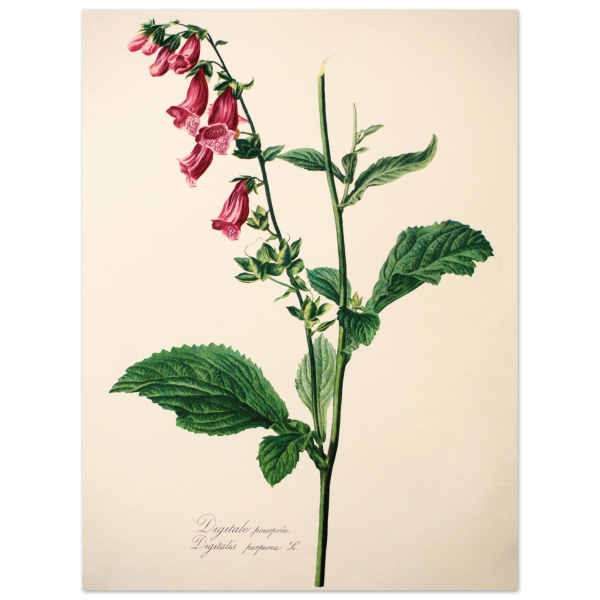 f8e02a27-188d-4f33-8b15-3ff2cf138761