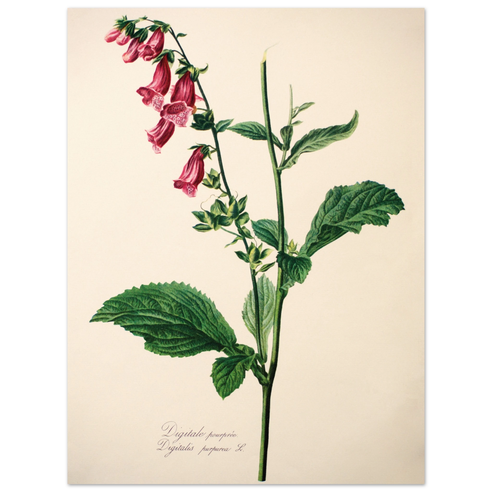 f8e02a27-188d-4f33-8b15-3ff2cf138761