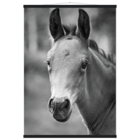 f8fa64c3-1445-4040-bd6e-dfd096a01bef