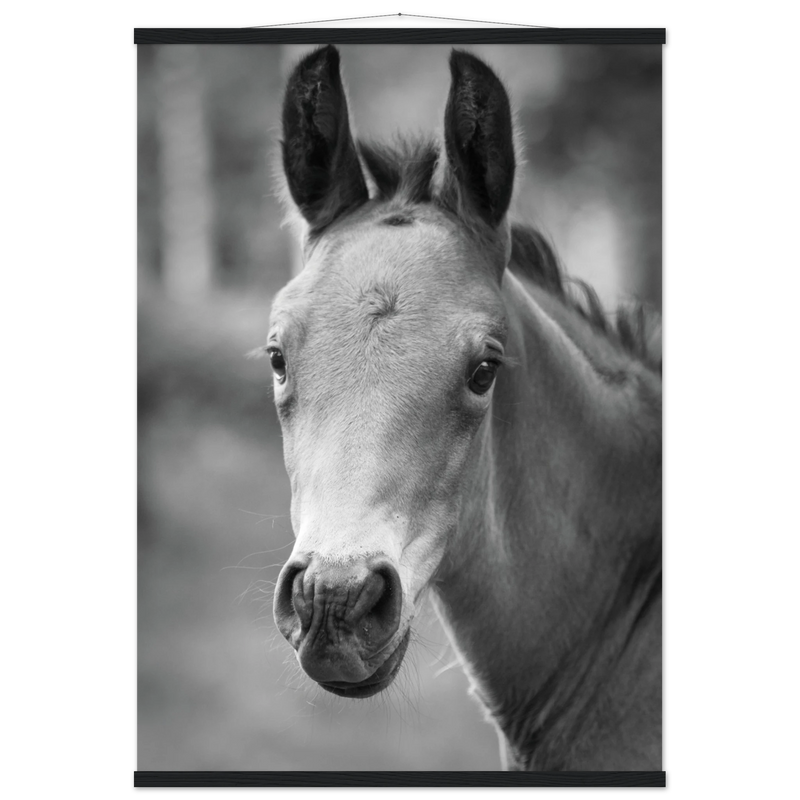 f8fa64c3-1445-4040-bd6e-dfd096a01bef