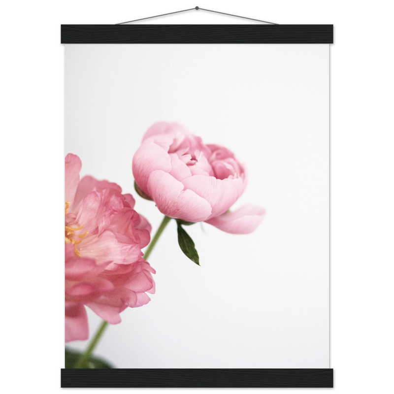 f9953359-d44c-4497-b59f-57b9a1c86859