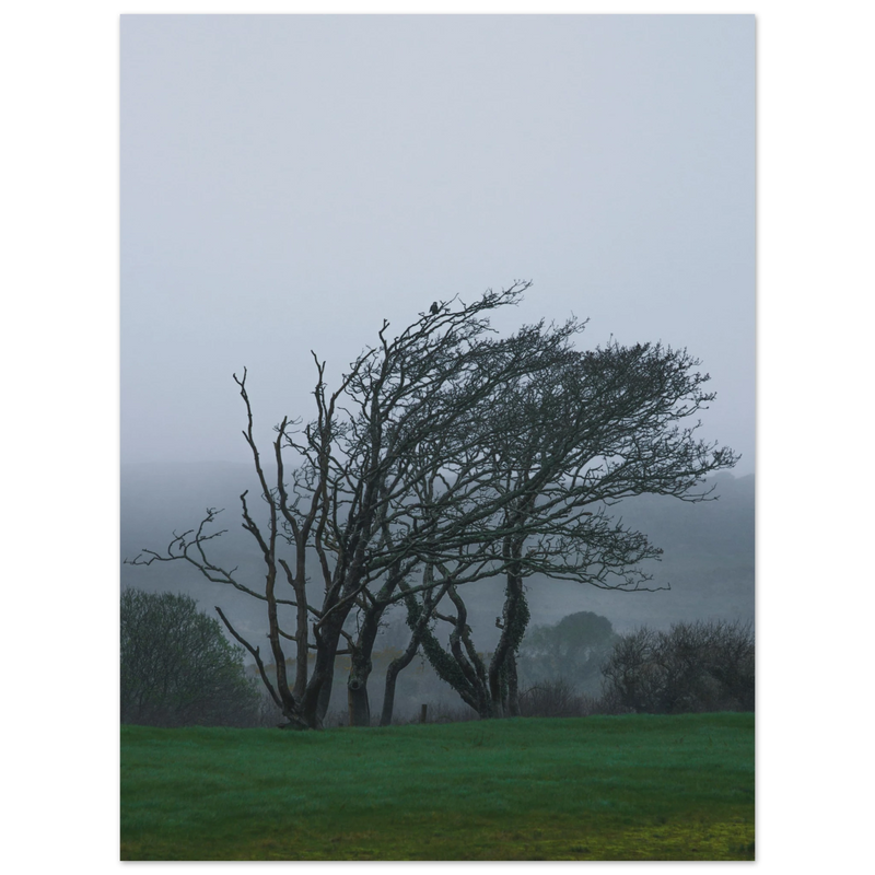 f99def7f-a7a8-4239-8946-f9319dadba89