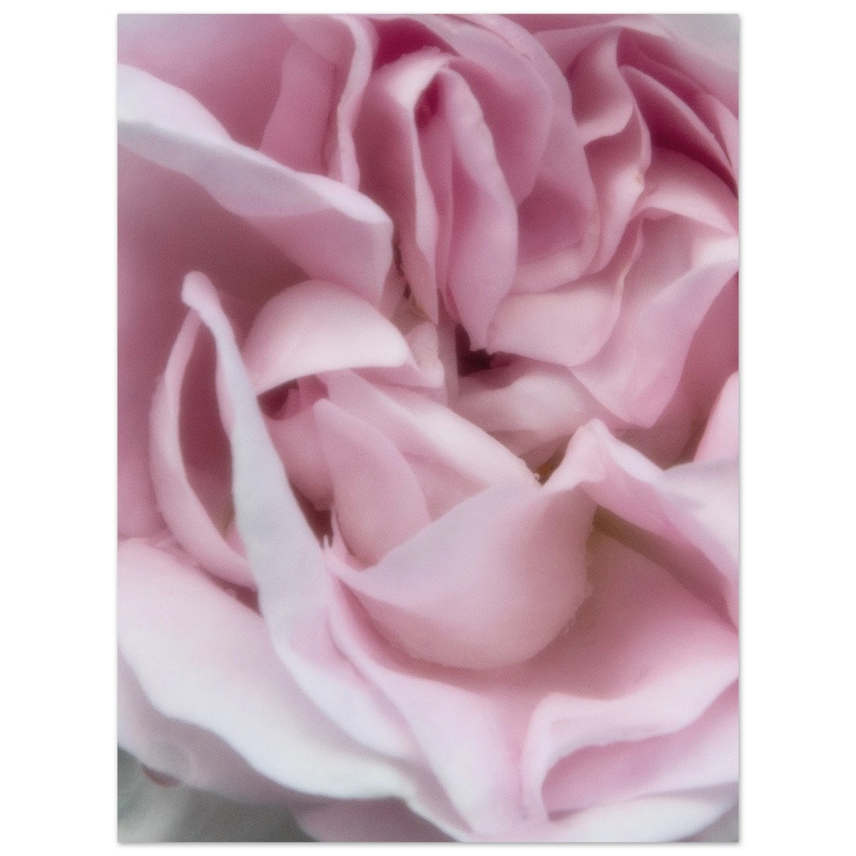 fb87287e-c7f4-40ff-bb2c-d235ac02e670