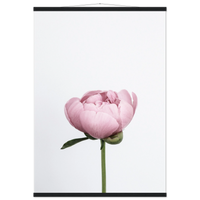 fbf4700c-dc41-4337-a35d-d453885d2bc6