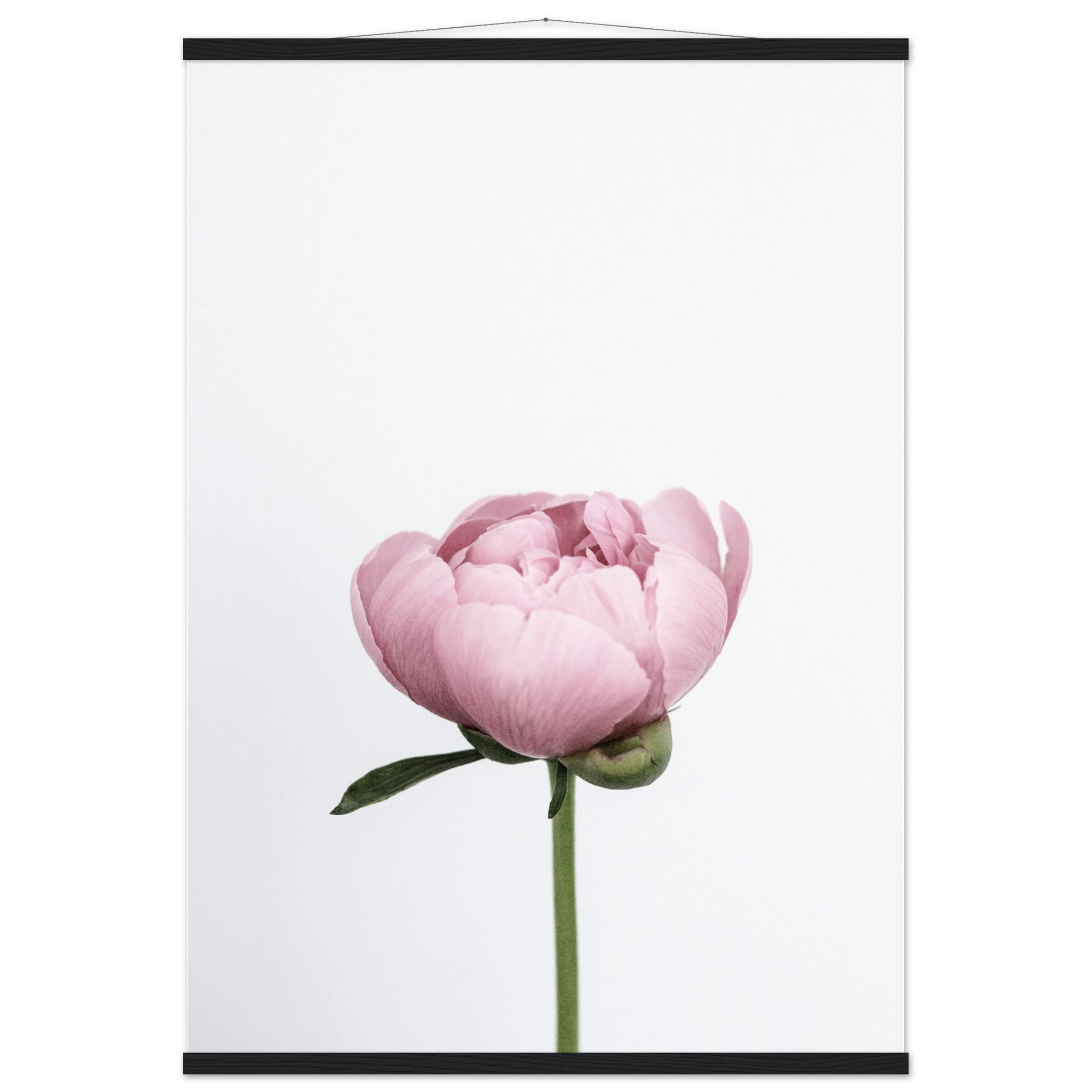 fbf4700c-dc41-4337-a35d-d453885d2bc6