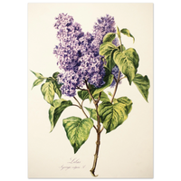 fcd4bfff-3efb-4a6f-ae80-5af68b607587