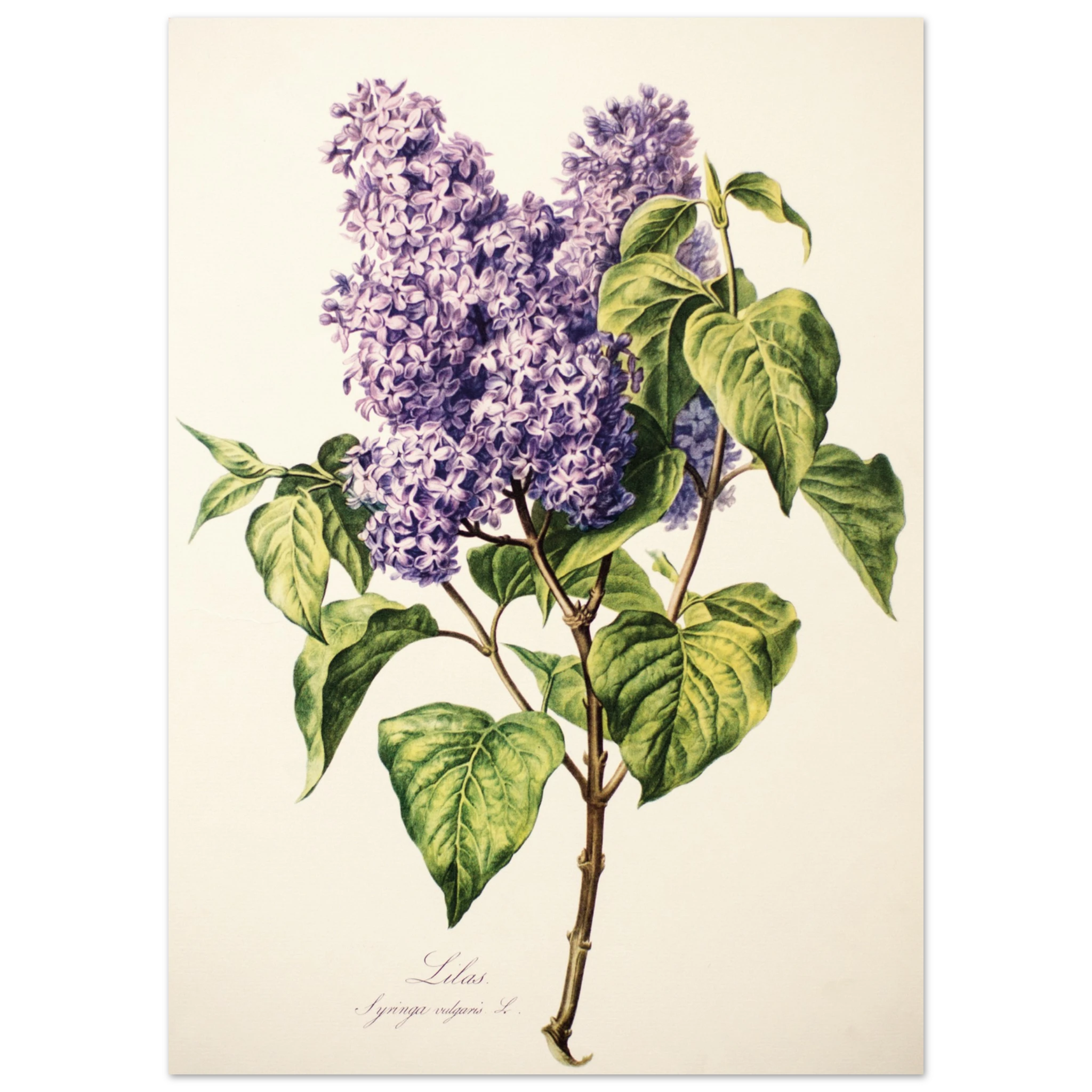 fcd4bfff-3efb-4a6f-ae80-5af68b607587