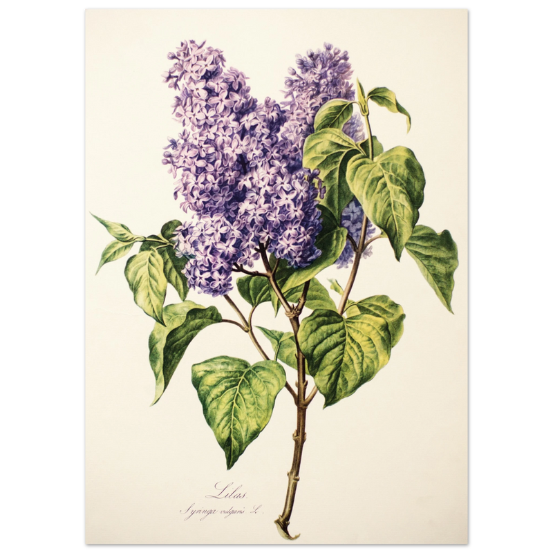 fcd4bfff-3efb-4a6f-ae80-5af68b607587