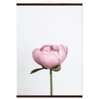 fce9a6d8-7479-48e9-8bcd-a8eb96ab6c63