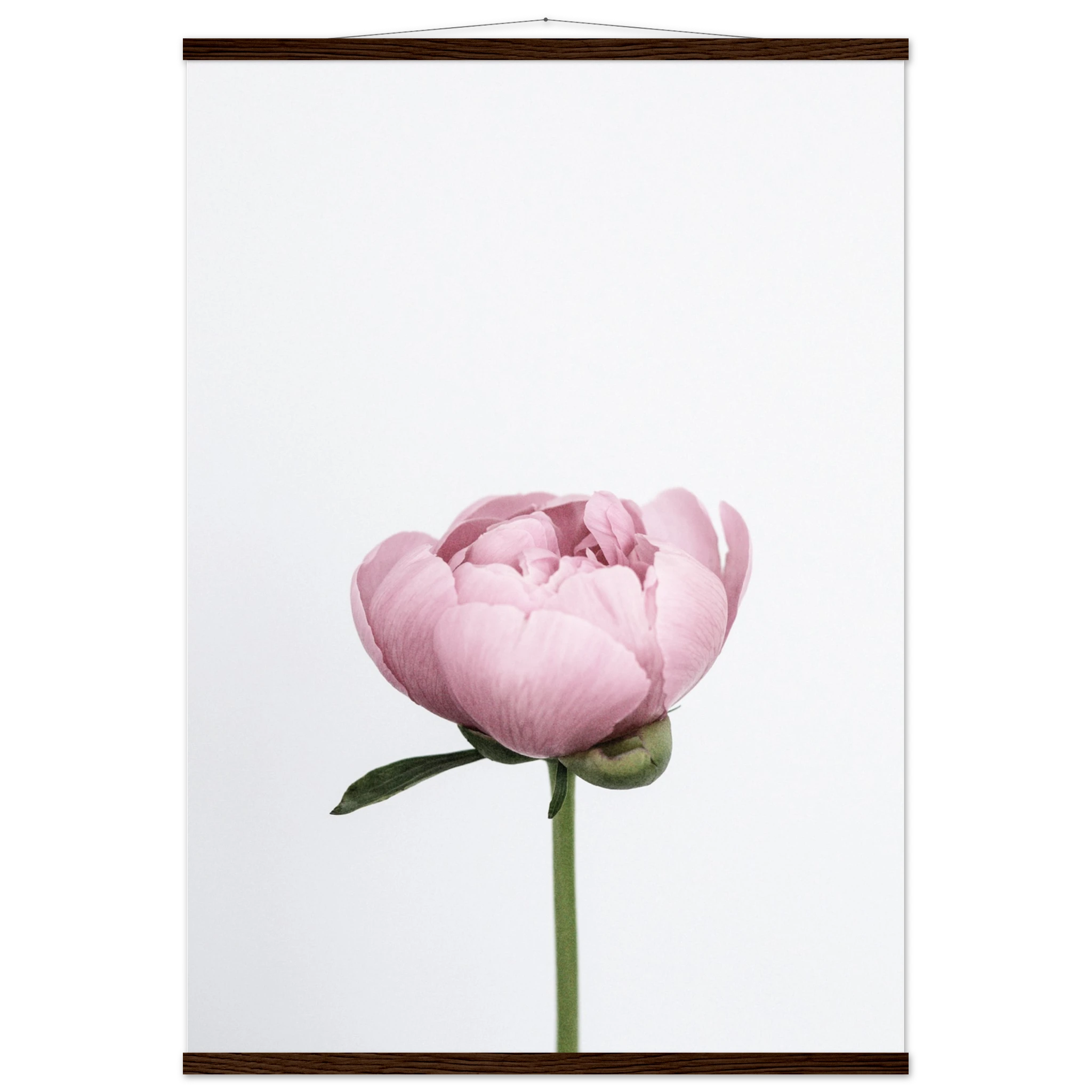 fce9a6d8-7479-48e9-8bcd-a8eb96ab6c63