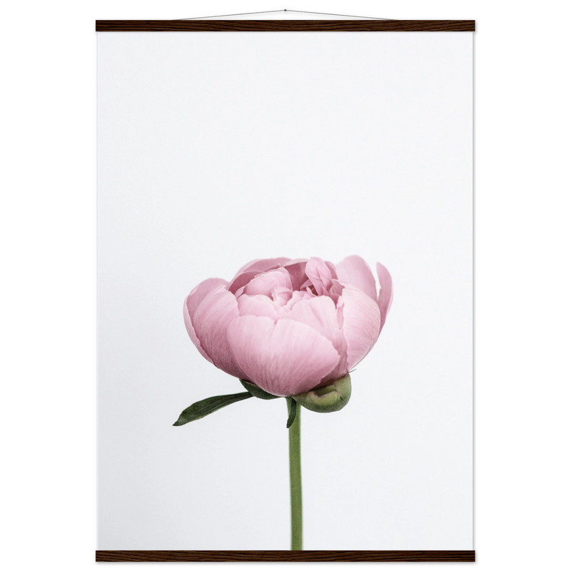 fce9a6d8-7479-48e9-8bcd-a8eb96ab6c63