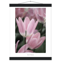 fcfe79bc-09e4-453c-a136-cbf0de4a707c