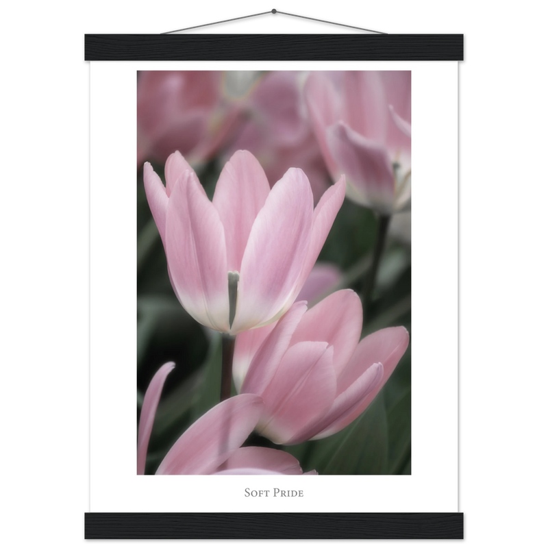 fcfe79bc-09e4-453c-a136-cbf0de4a707c