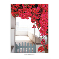 fdd8dbcd-f3dd-4e0b-945c-212fdebec22a