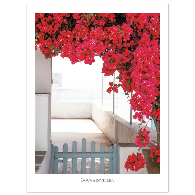 fdd8dbcd-f3dd-4e0b-945c-212fdebec22a