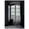 ff08a459-b16c-400c-9e0f-062b49666307