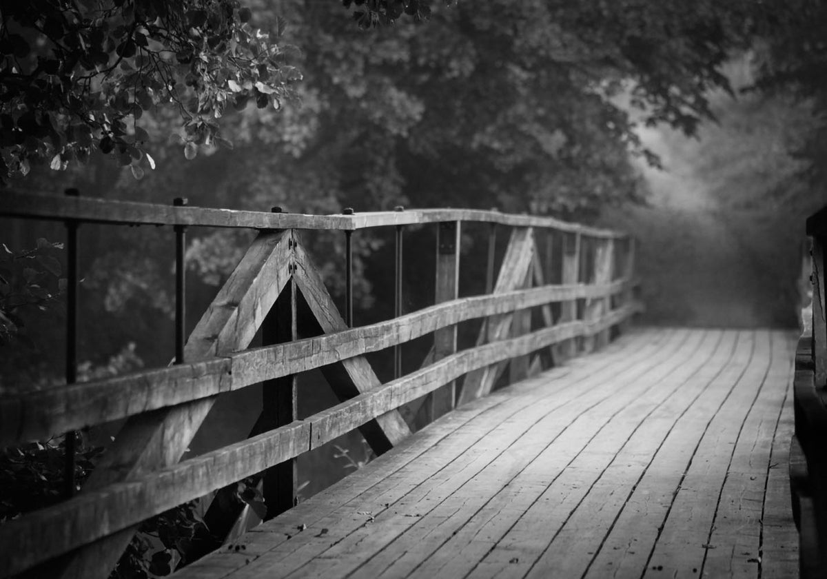 Juliste Bridge#1