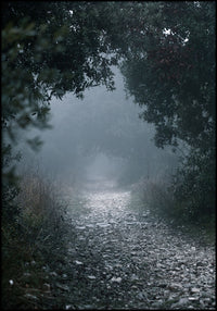 Juliste Foggy Path