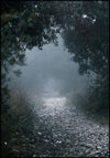 Juliste Foggy Path