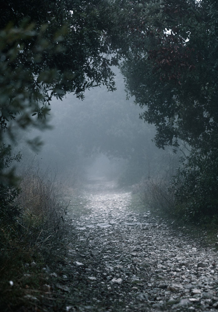 Juliste Foggy Path