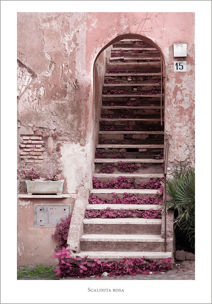Juliste Scalinita Rosa