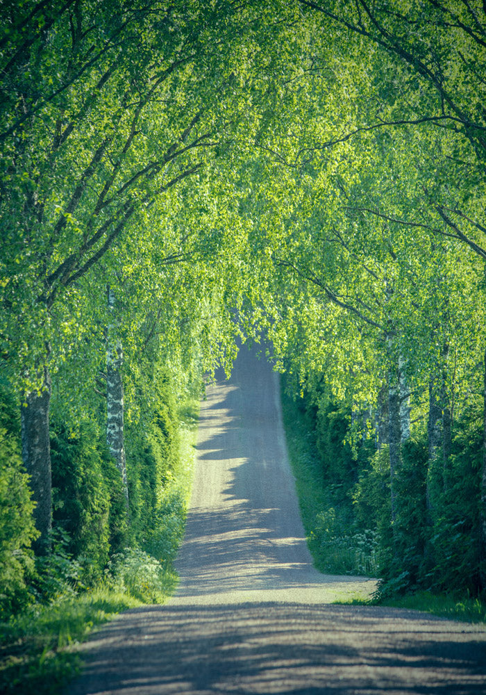 Juliste Carriage Way