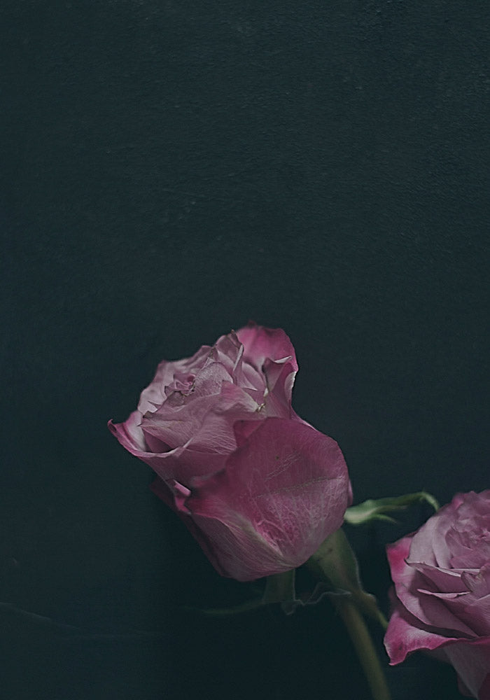 Juliste Two Roses