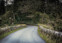 Juliste Curve