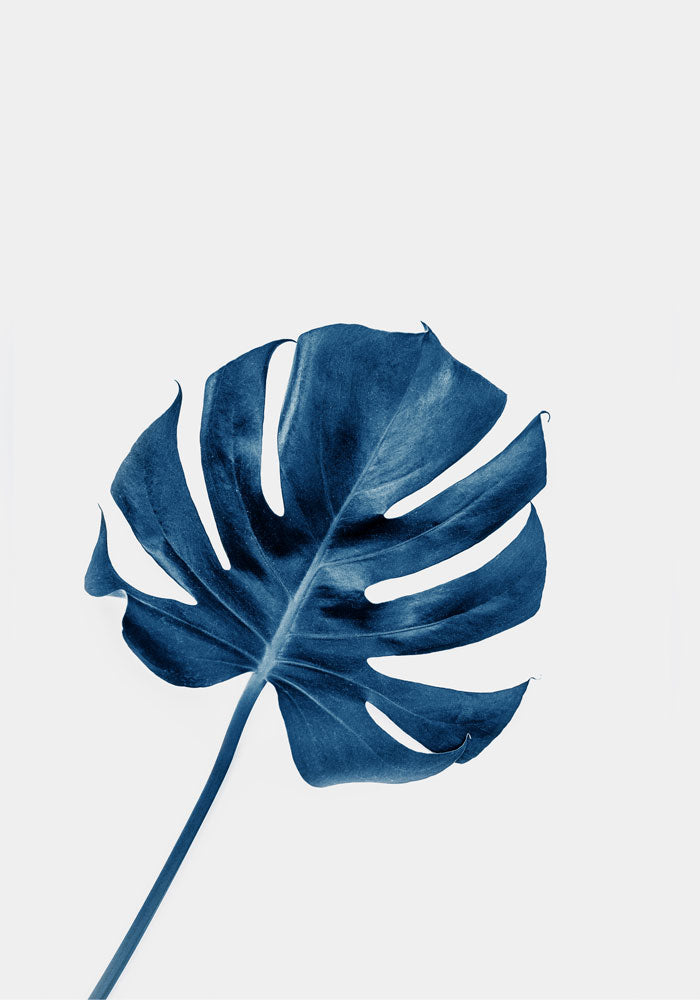 Blue Monstera Poster