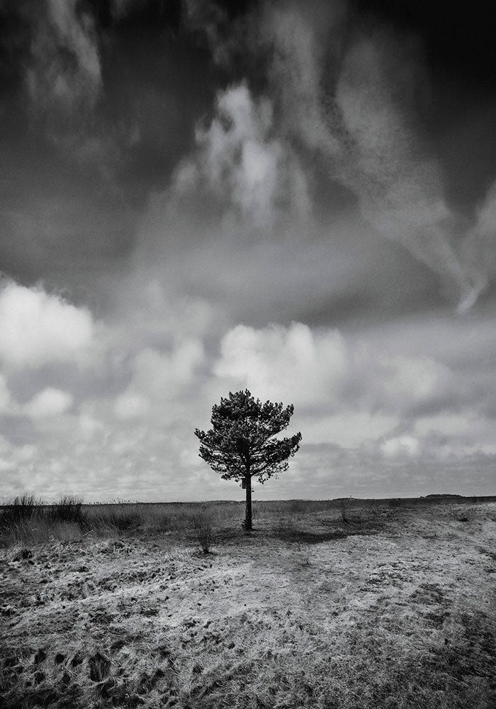 Stand Alone