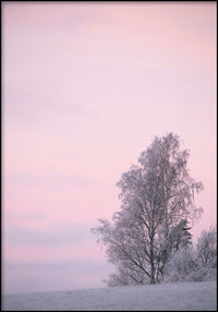 Juliste Winter Dawn