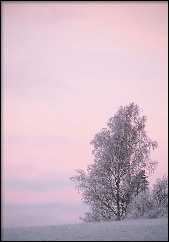 Juliste Winter Dawn